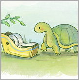Tortoise Illustrations