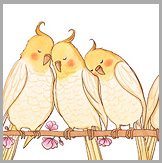 Birds of a Feather
